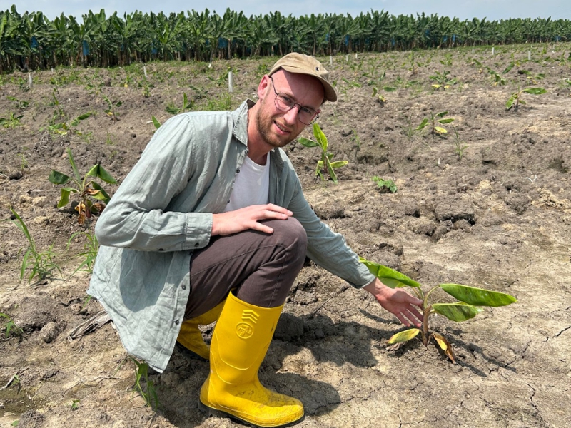 Sierd Hettema Odin bananen APPBOSA true price