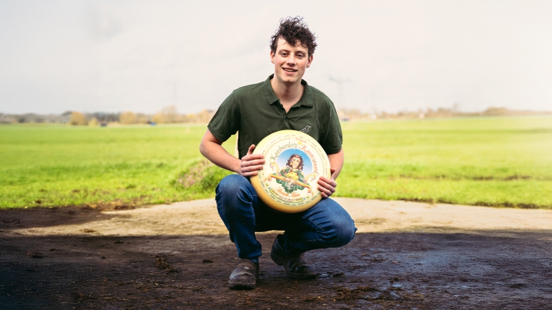 De lente begint in de wei