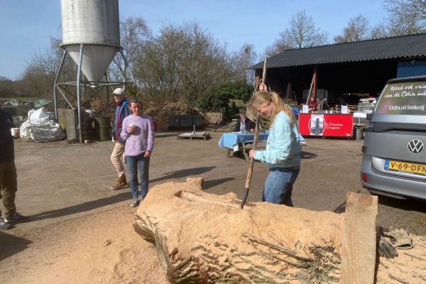 Nieuwe bijenvolken op boerderij Ruimzicht en kwekerij Blauwe Huis