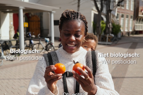 biologisch fruit groente pesticide