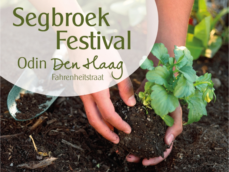 20 juni: Segbroek Festival Odin Den Haag Fahrenheitstraat
