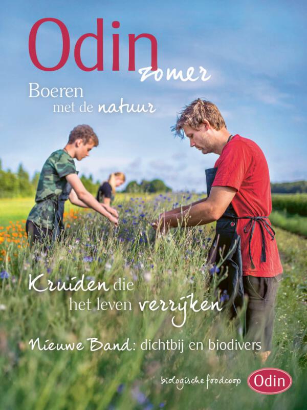 Zomermagazine in de winkel
