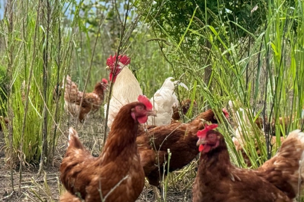 Zomermagazine: “De natuur ondersteunt ons bedrijf”