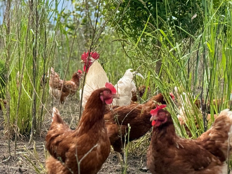 Zomermagazine: “De natuur ondersteunt ons bedrijf”