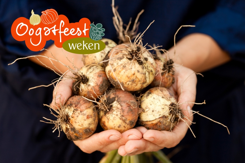 Oogstfeestweken: de 5 lekkerste herfstrecepten met wortels en uien