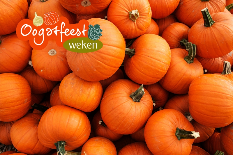 Oogstfeestweken: de 5 lekkerste herfstrecepten met pompoen