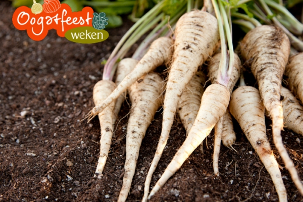 Oogstfeestweken: de 5 lekkerste recepten met pastinaak