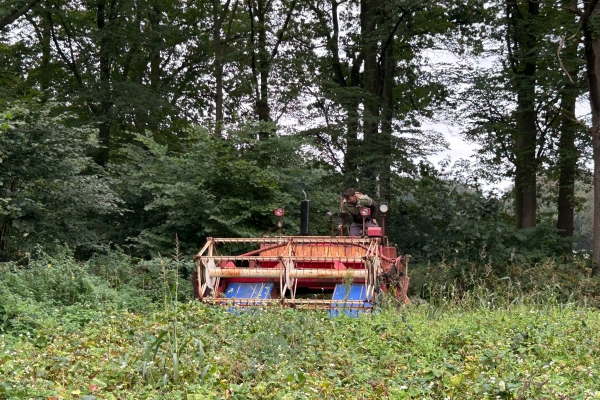 Oogsttijd op de boerderij