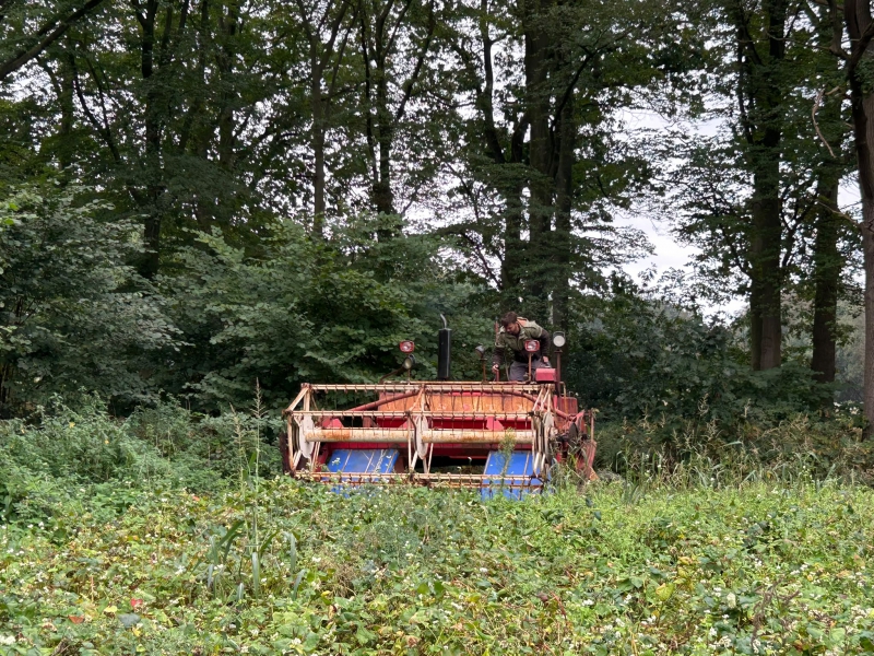 Oogsttijd op de boerderij