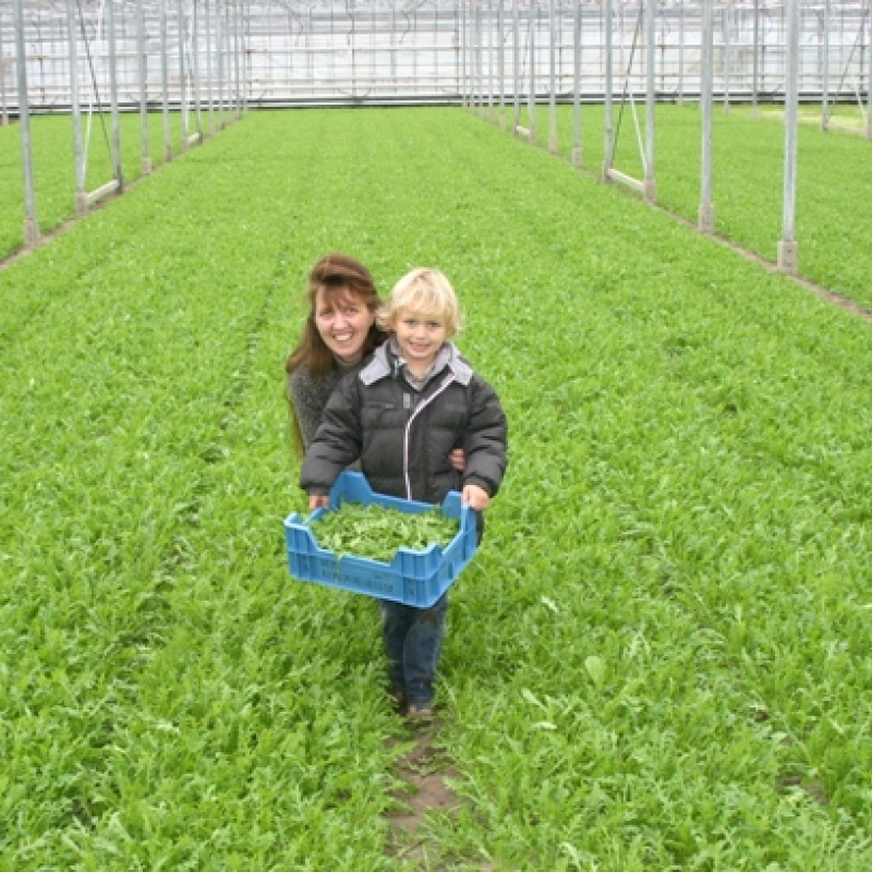 biodynamische bladspecialist Be-Leaf