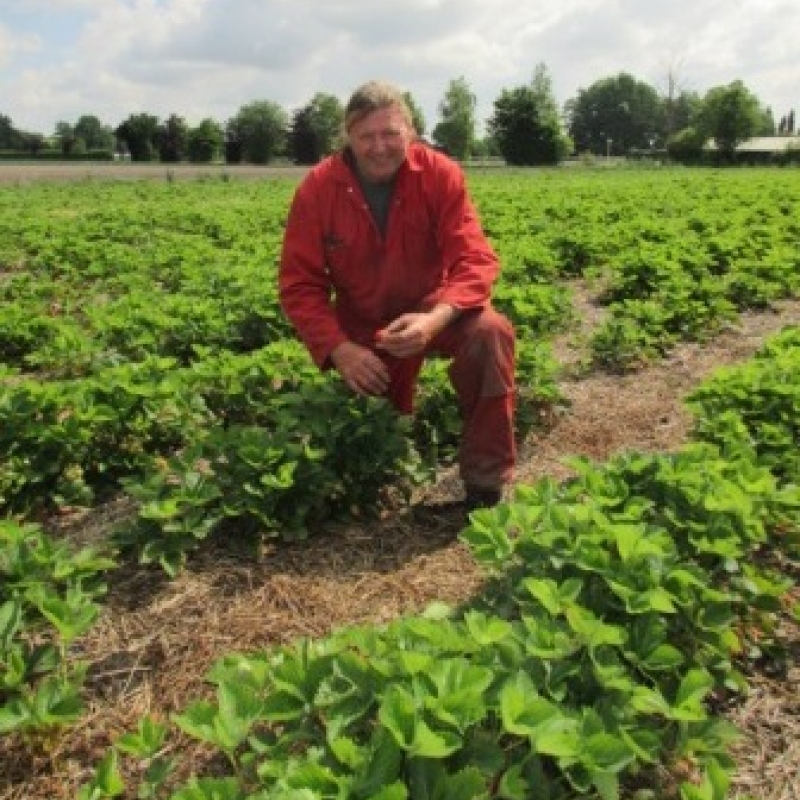 tuinderij de kromme lepel