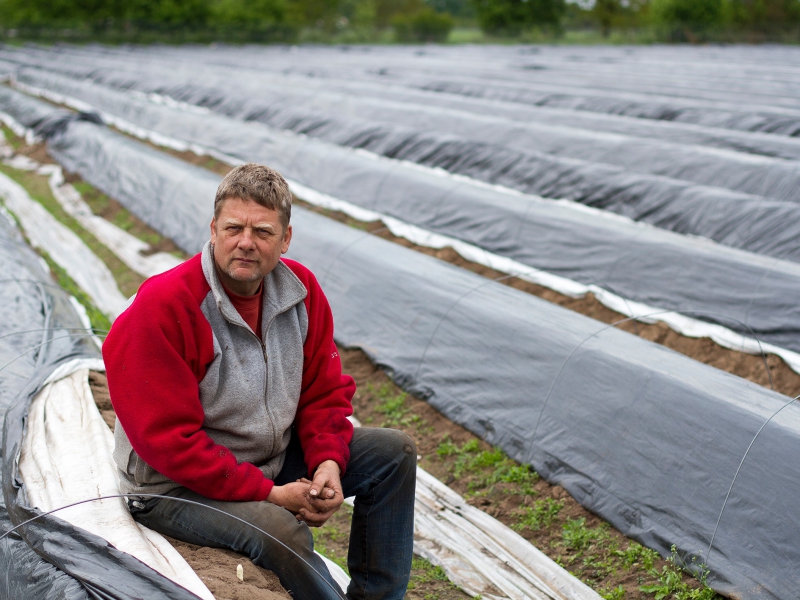 Biodynamische witte asperges van De Watertuin