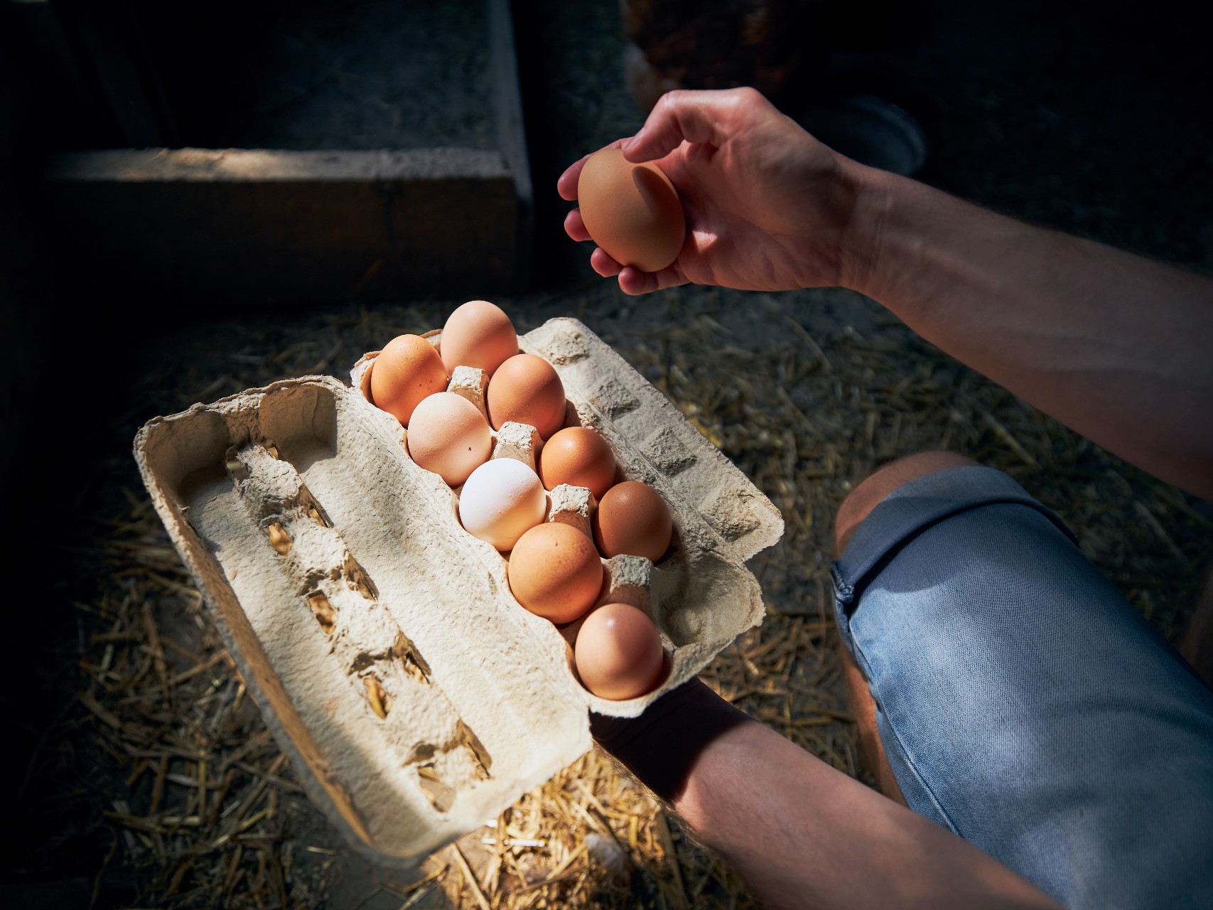 voorjaar bedreiging formeel Bruine of witte eieren?