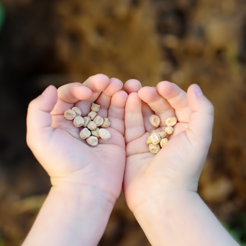 Vulgariteit spiritueel capsule Plant eens een zaadje!