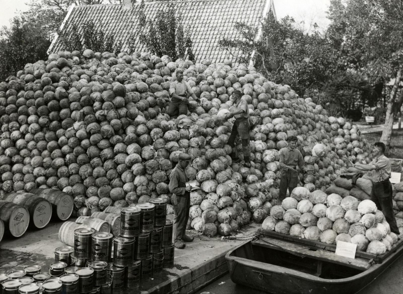 Geschiedenis van zuurkool