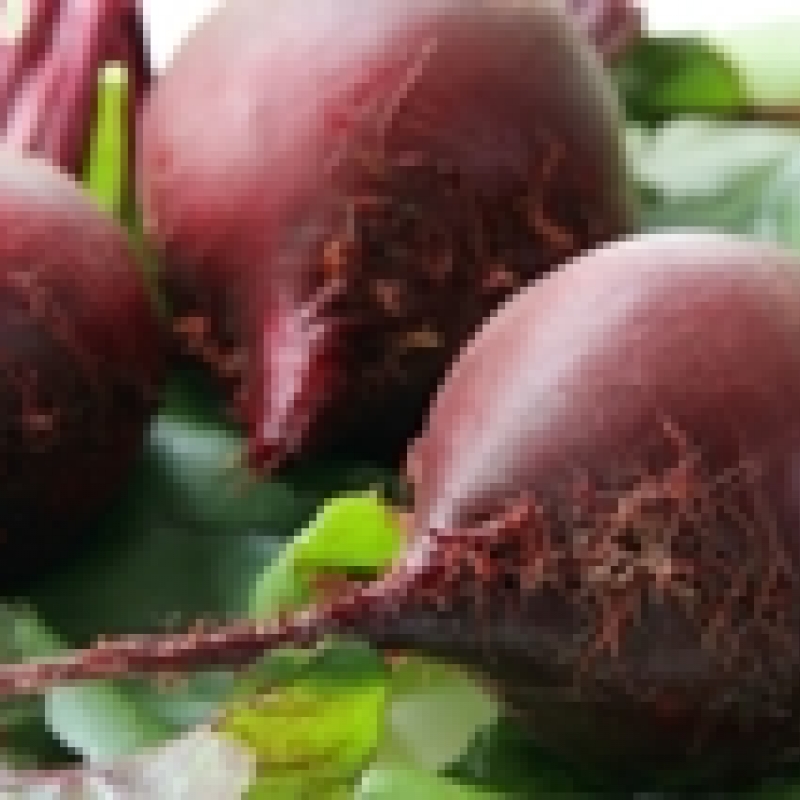 Zoetzure bietenschotel