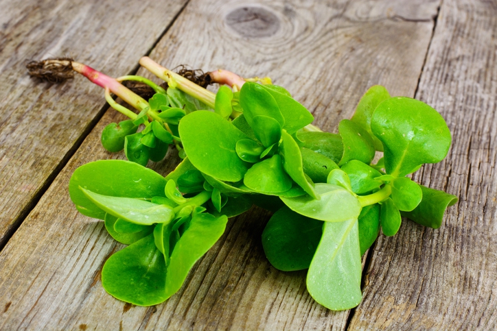 Herfstsalade met winterpostelein