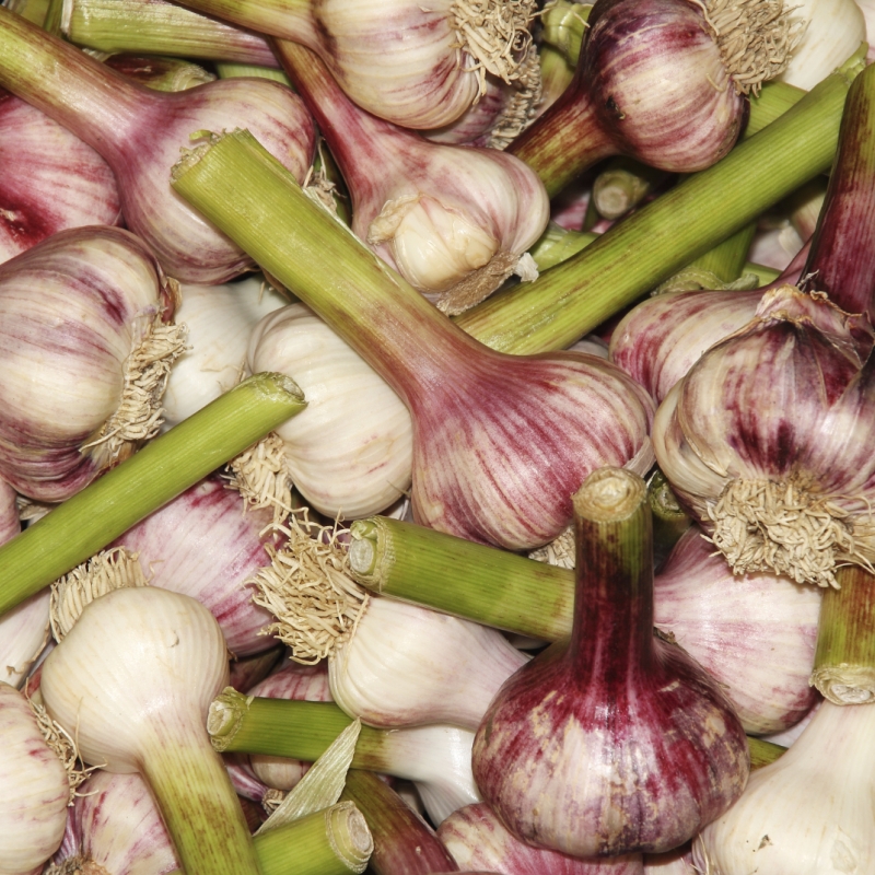 Knoflooksoep met zoete sla