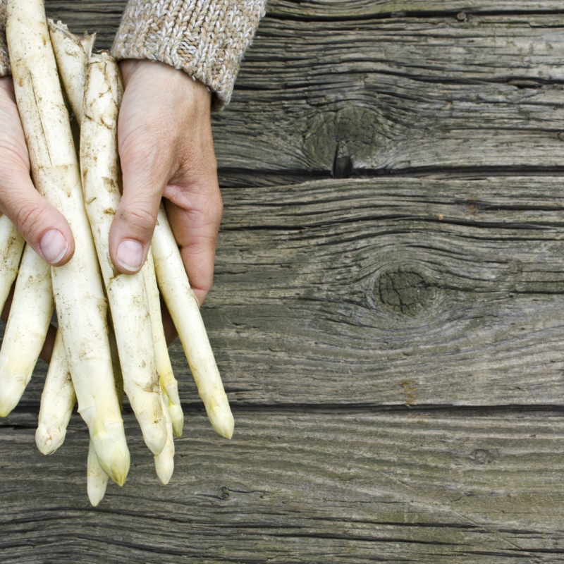 Asperges met ei, olijven en citroenmelisse