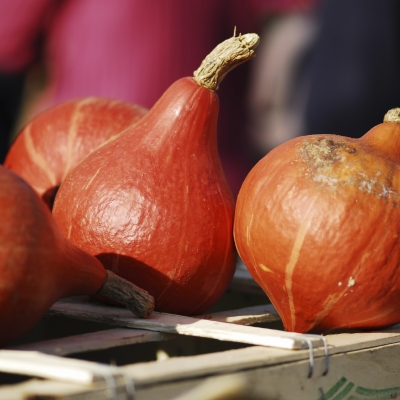 Pompoenstoofpot met koolvis en garnalen
