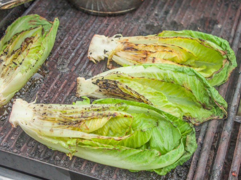 Gegrilde mini-Romana met wilde tomaten