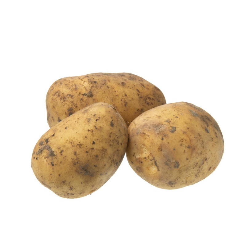 Frieslander aardappel