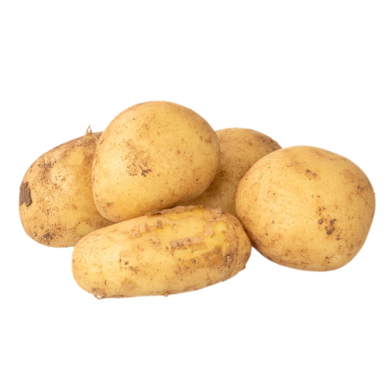 Nicola aardappel nieuwe oogst