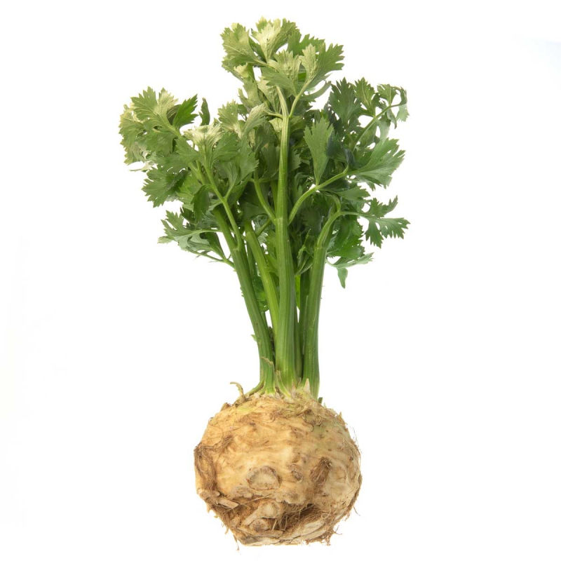 Knolselderij met loof