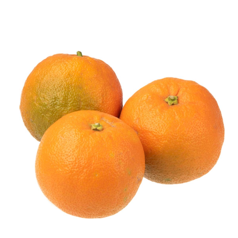 Bitter sinaasappels