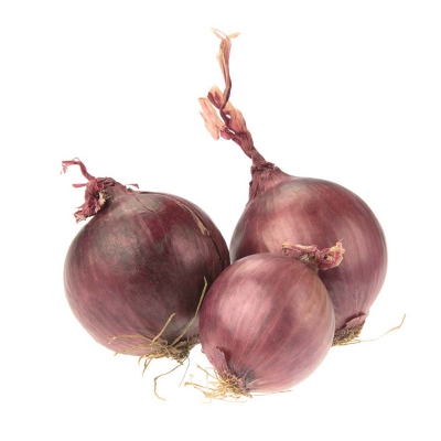 Uien rood zaadvast 