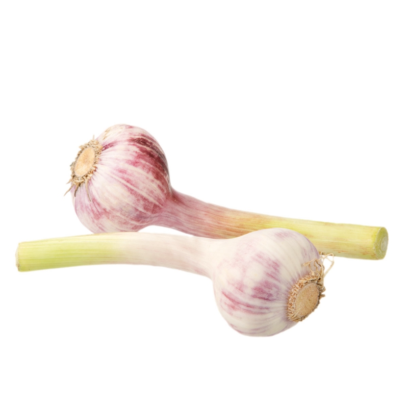 Verse knoflook
