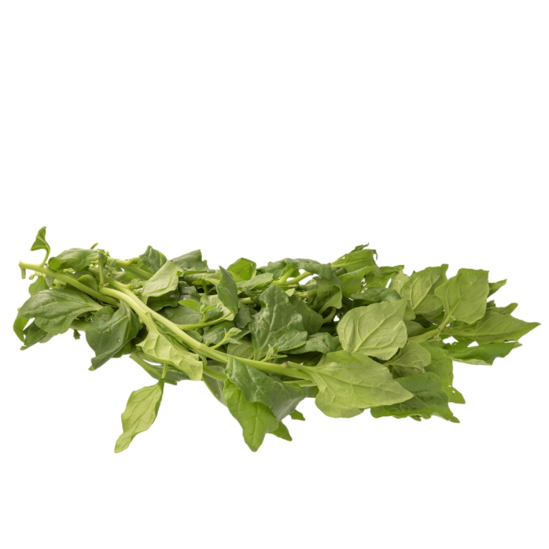 Spinazie