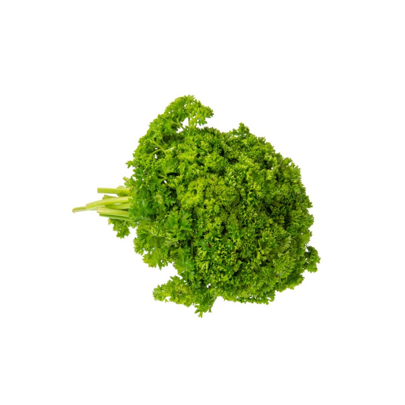Bosje peterselie krul
