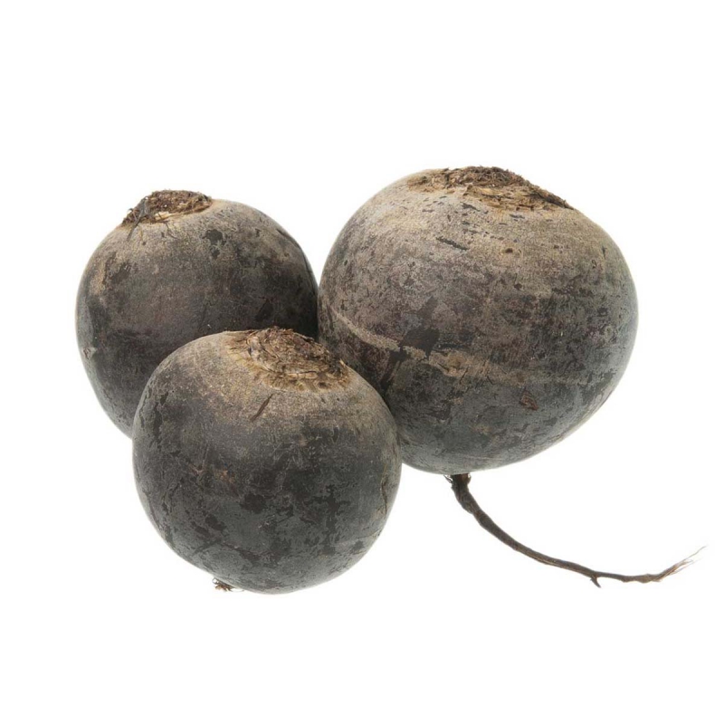 Rode bieten zaadvast