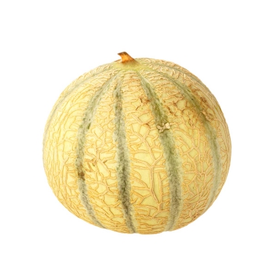Cantaloupe meloen 