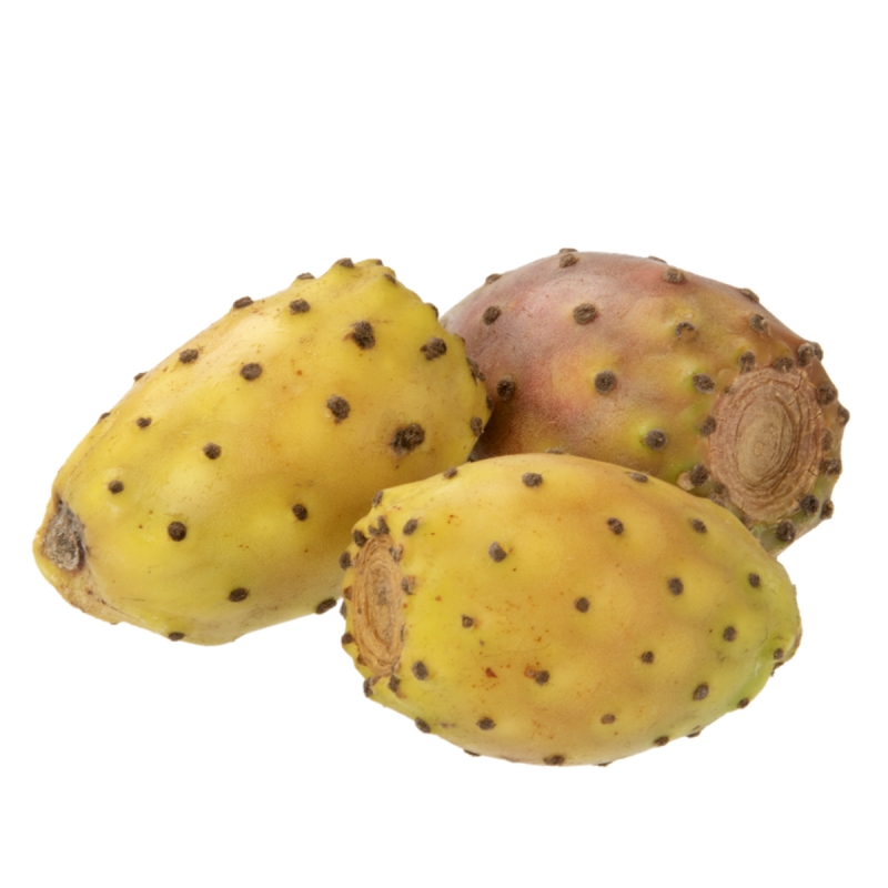 Cactusvijg