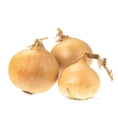 Gele uien groot zaadvast 