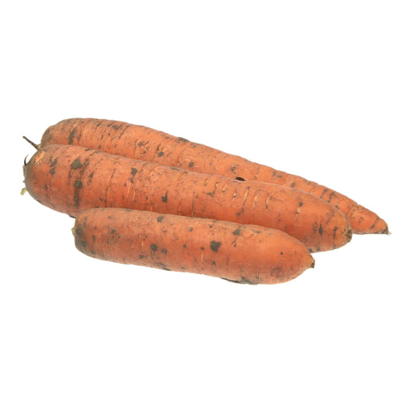 Wortelen ongewas. zaadvast 