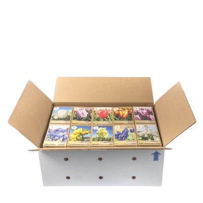 Bloembollen assortiment 