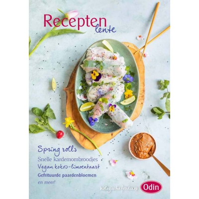Receptenboekje lente ODIN