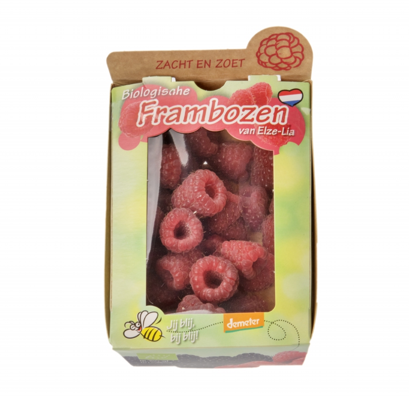 Frambozen